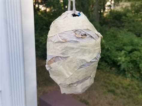 diy wasp nest decoy